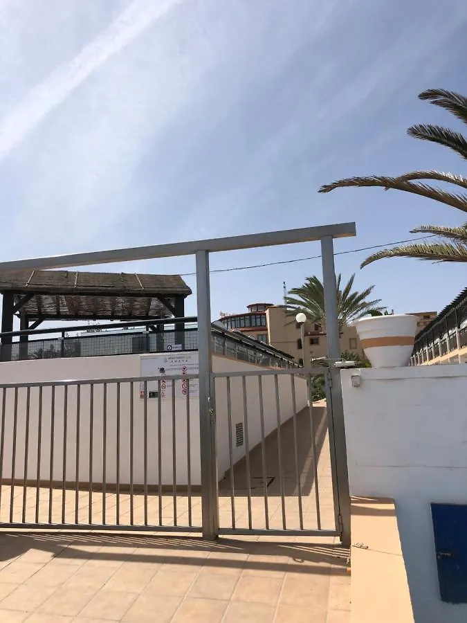 Apartment Apartamento La Tortuga Complex Amaya Fuerteventura Costa De Antigua
